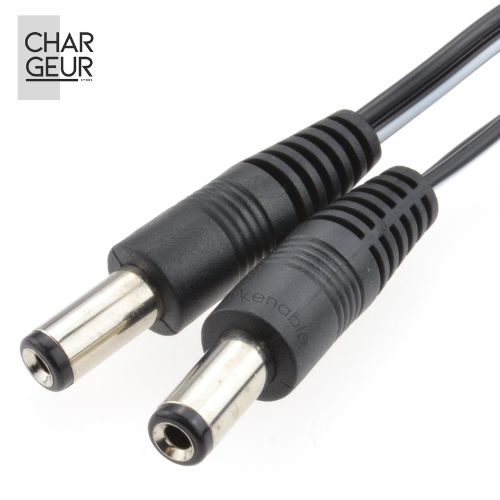 Chargeur pour trottinette électrique Ninebot E2 Plus E