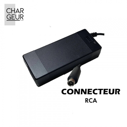 Chargeur pour trottinette électrique Ninebot F2 E