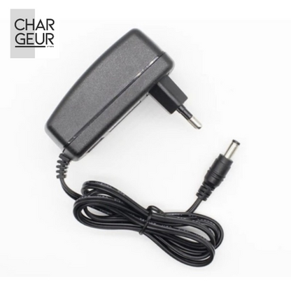 Chargeur pour trottinette électrique Ninebot E2 E